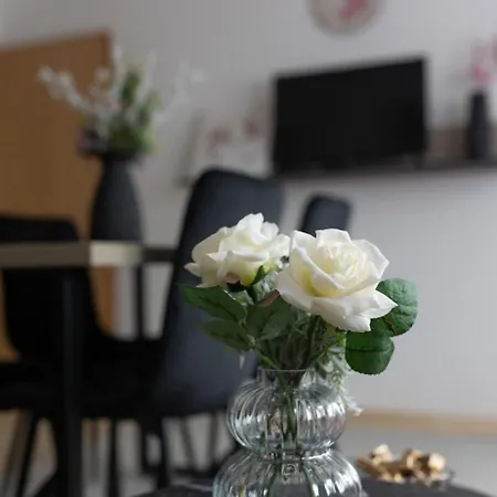 Apartman Taya Mostar